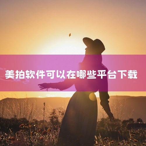 2. 输入你要下载的软件名称，美拍，然后点击搜素栏后面的搜索两个字，进行搜索。如图所示 3. 在搜索...|