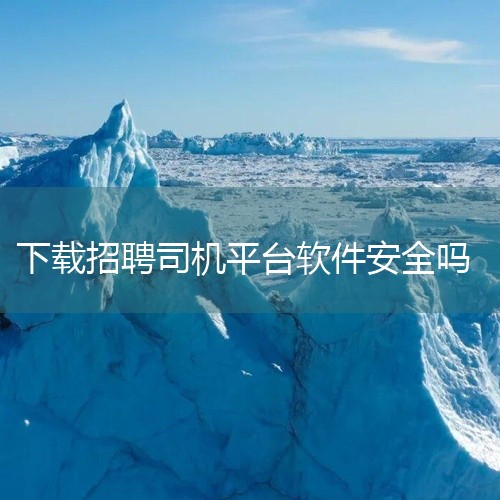 综上所述，无论是从平台的信誉口碑、信息安全保护，还是从实际使用效果来看，牛小二司机招聘网都是可靠的。当然，任何平台都存在改进的空间和可能性，我们期待牛小二在未来能够继续优化服务、提升用户体验，为更多的|