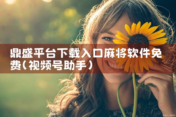 鼎盛平台下载入口麻将软件免费