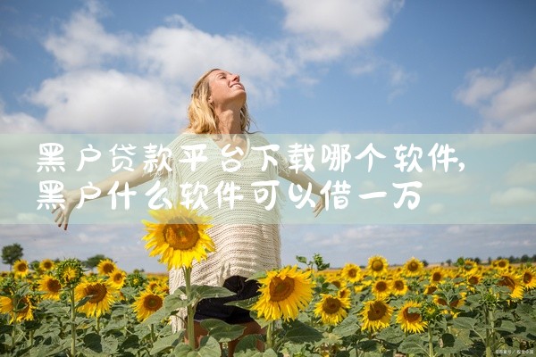 销售平台视频素材下载软件